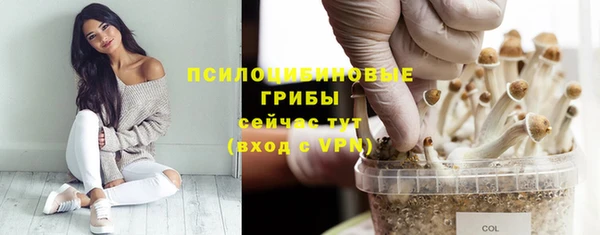 мяу мяу кристалл Алексин
