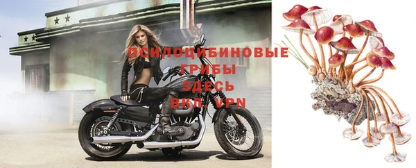 скорость Алексеевка