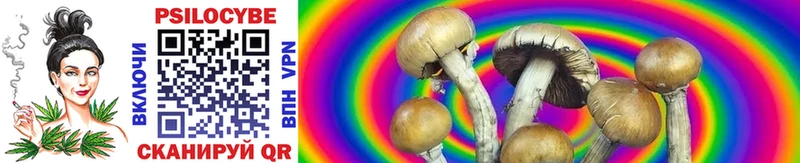 Галлюциногенные грибы Psilocybine cubensis  Гурьевск 