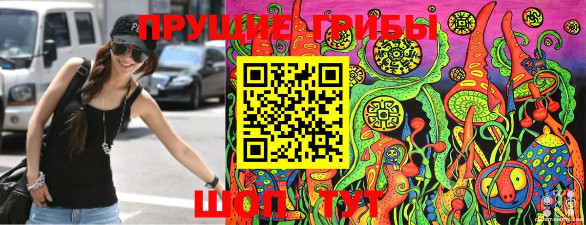 Псилоцибиновые грибы Magic Shrooms  наркота  Галлюциногенные грибы GOLDEN TEACHER  Гурьевск 