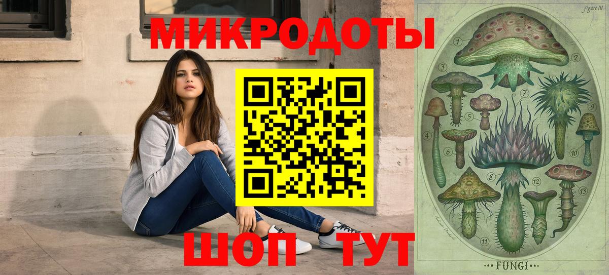 Галлюциногенные грибы Psilocybe Гурьевск